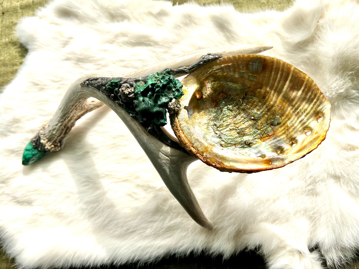 Abalone Shell, Full Deer Antler Medium  - Fibrous Malachite - Smudge Bowl
