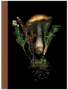 Deep Dark Forest Journal