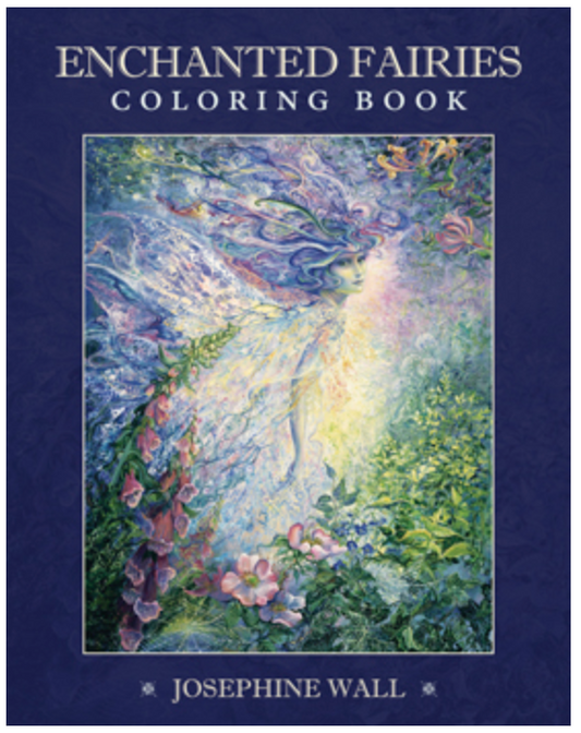Enchanted Fairies Coloring Book