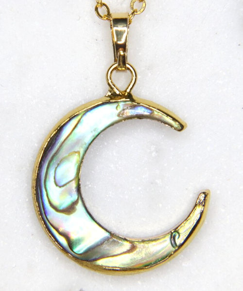 Abalone & Mother of Pearl shell reversible Pendant