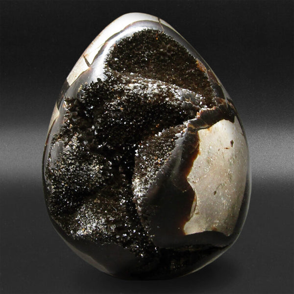 Dragon Egg
