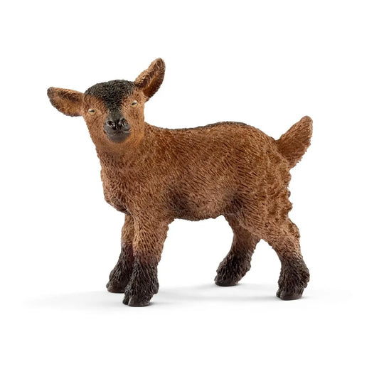 Kid Goat