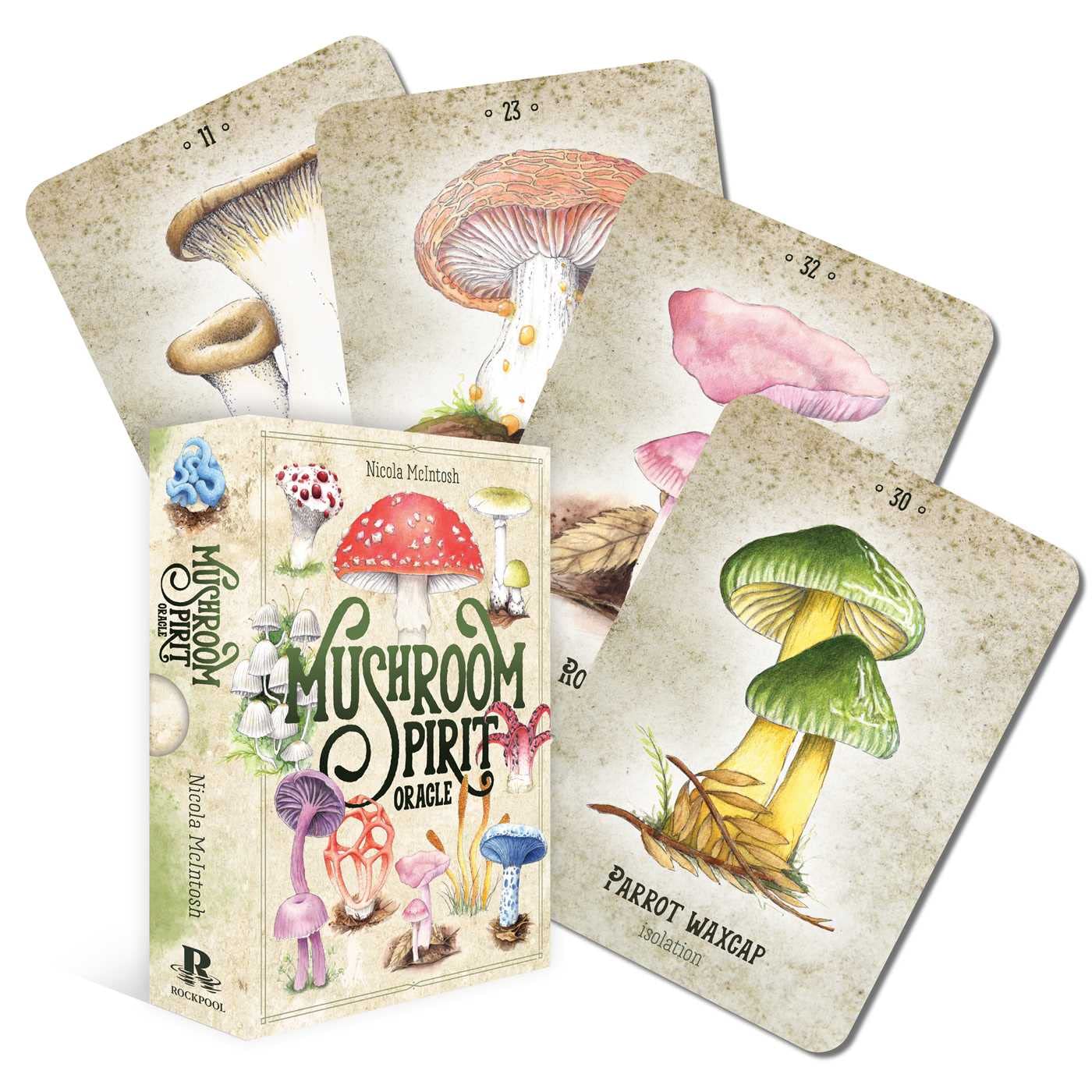 Mushroom Spirit Oracle Deck - Nicola McIntosh