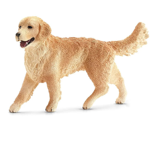 Golden retriever, female