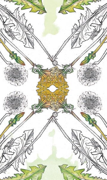 Oracle Deck - Cheralyn Darcey