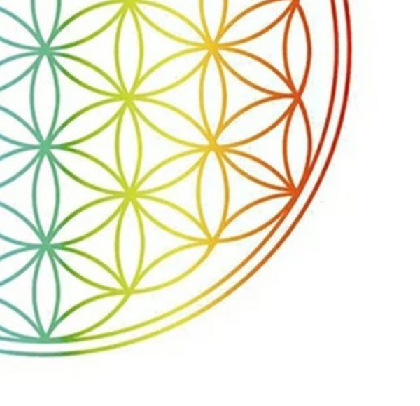 Flower of Life Sticker Rainbow Bold, 2 pack