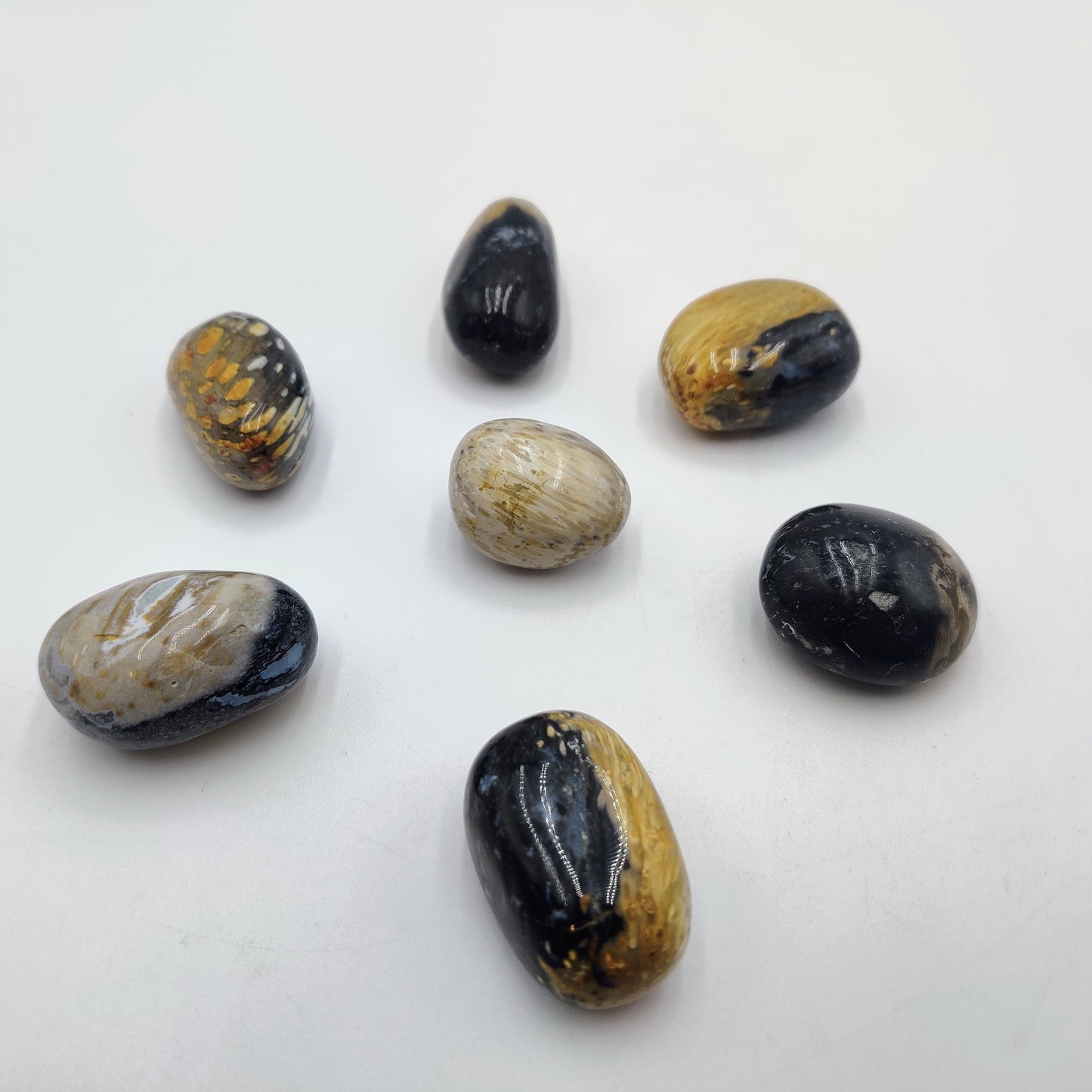 Petrified Wood - Tumbled - Bali