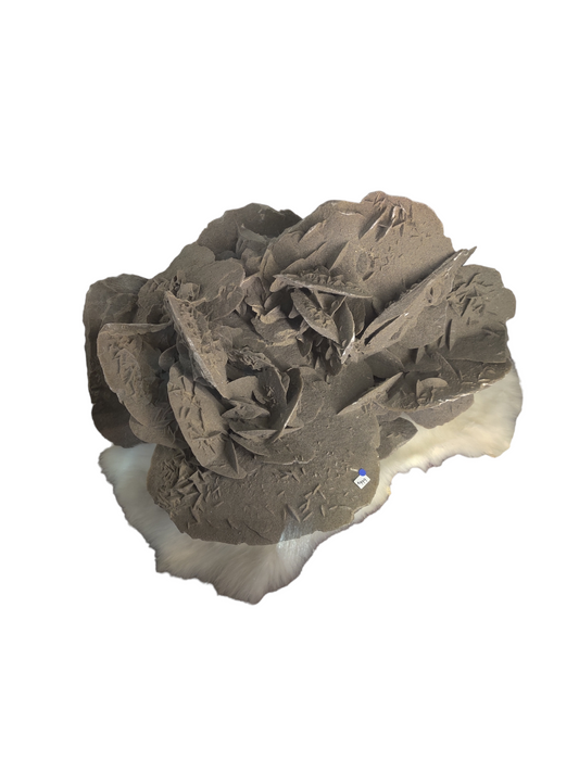 Desert Rose  - Free Form