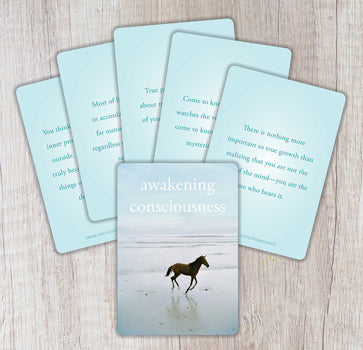 The Untethered Soul (deck) - Michael A. Singer