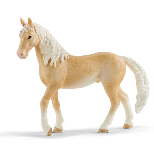 Akhal- Teke Stallion