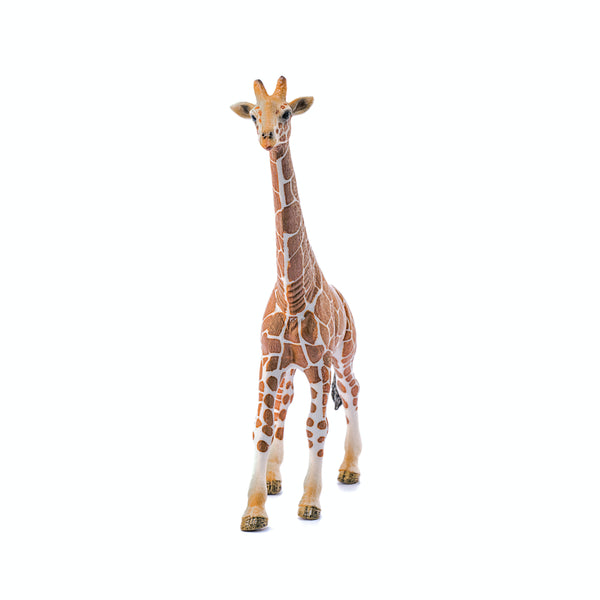 Schleich Giraffe, Male
