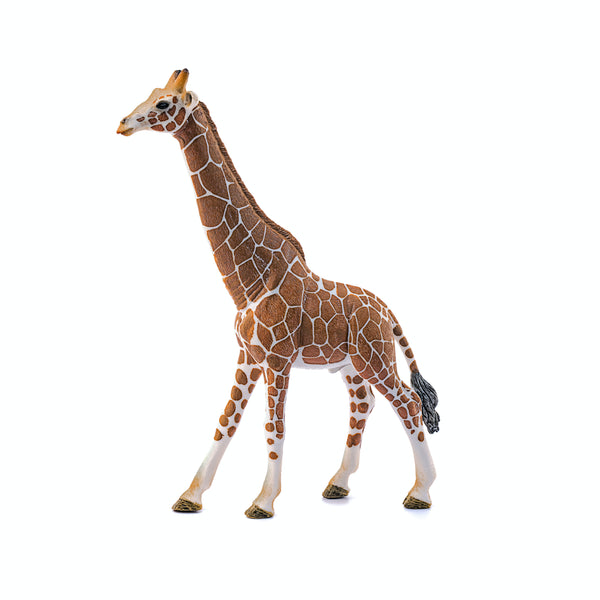 Schleich Giraffe, Male