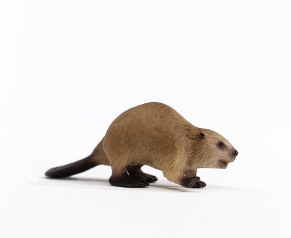 Schleich Beaver