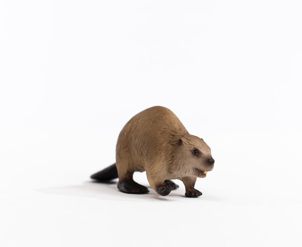 Schleich Beaver