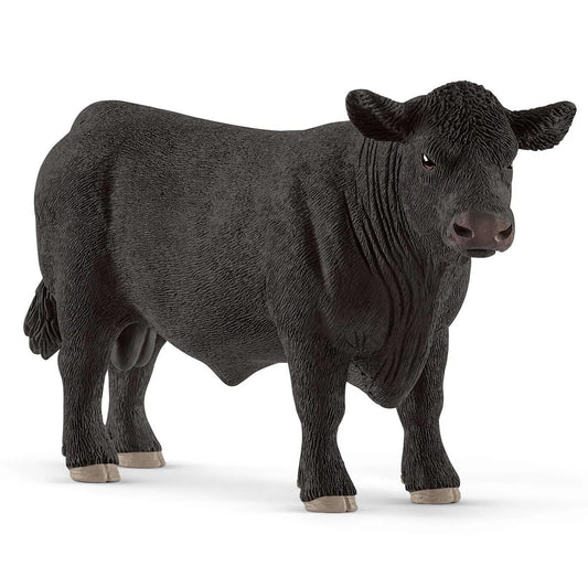 Angus Black Bull