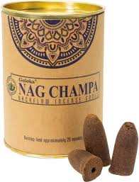 Incense-Goloka - Backflow Cones - Palo Santo - Tin